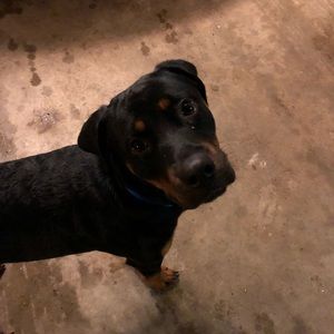 Meet your Posher, Jesse